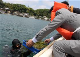 山口知事がケースに入ったアマモの種苗を船上から中腰でダイバーさんに手渡す様子。