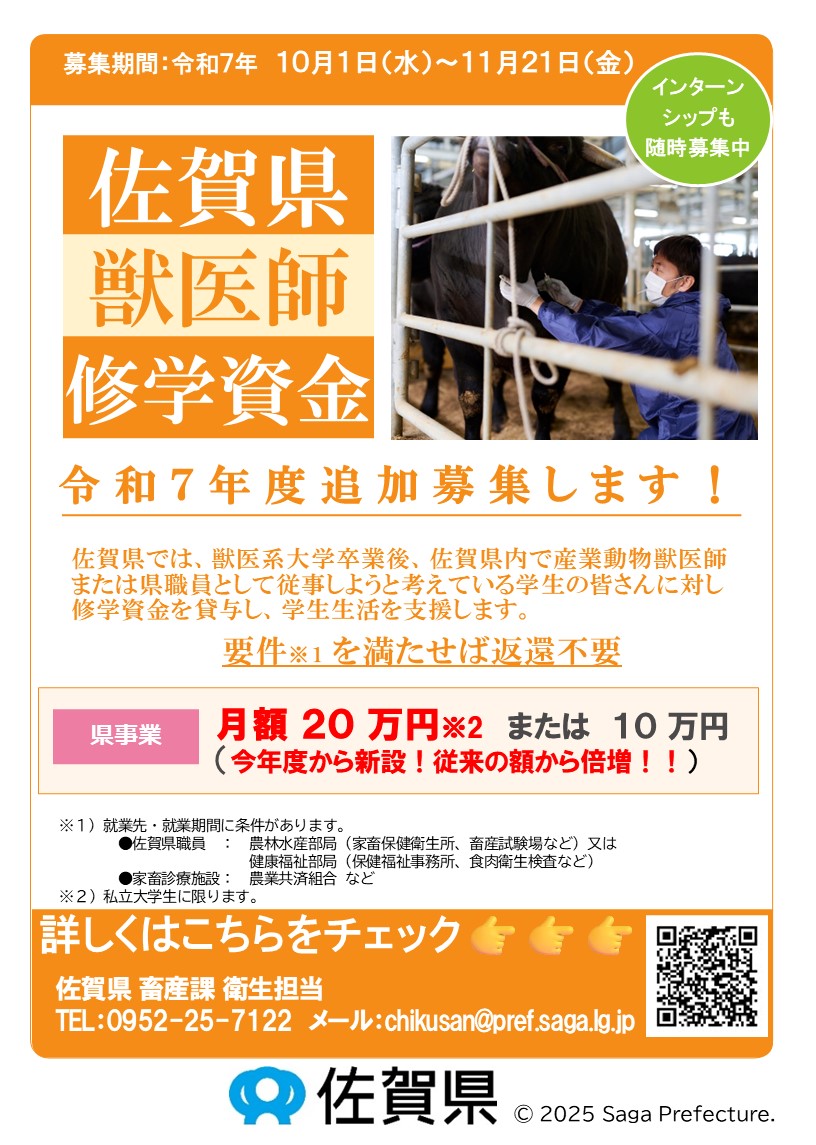 インターンシップも随時募集中！