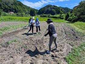 楮原の棚田1