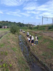 水路探検