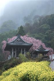 雨の円応寺