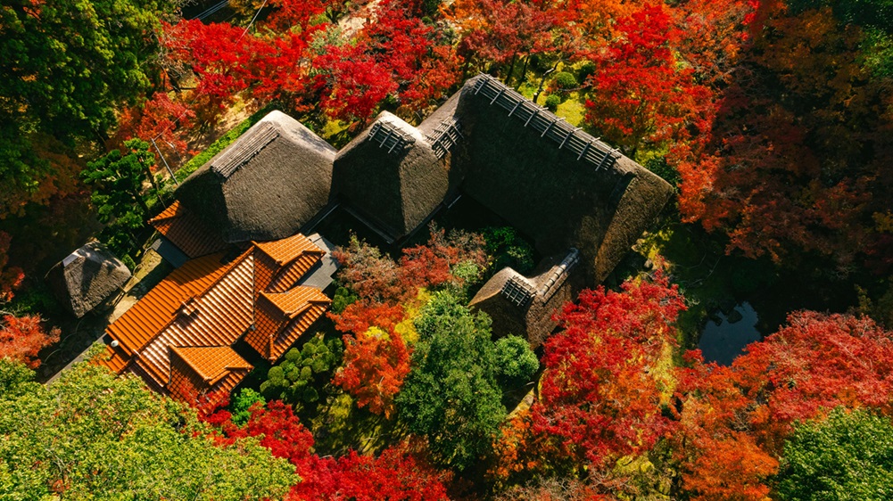 秋の九年庵