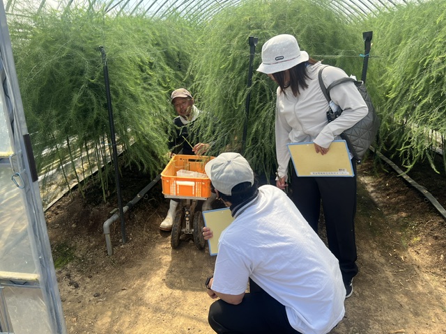 アスパラ圃場2