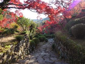 九年庵　紅葉