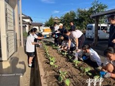 植え込みをしている様子